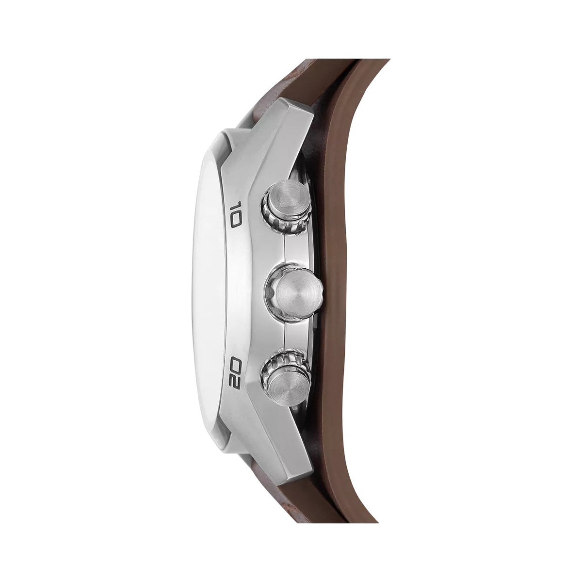 Fossil Coachman