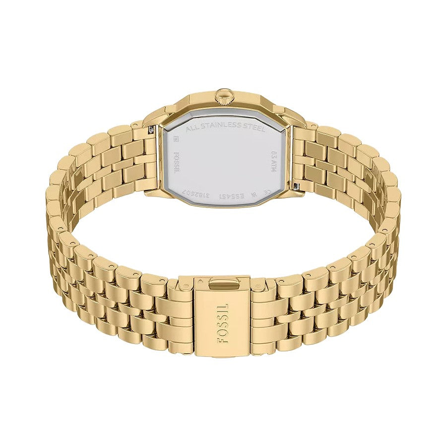 Fossil Harlow