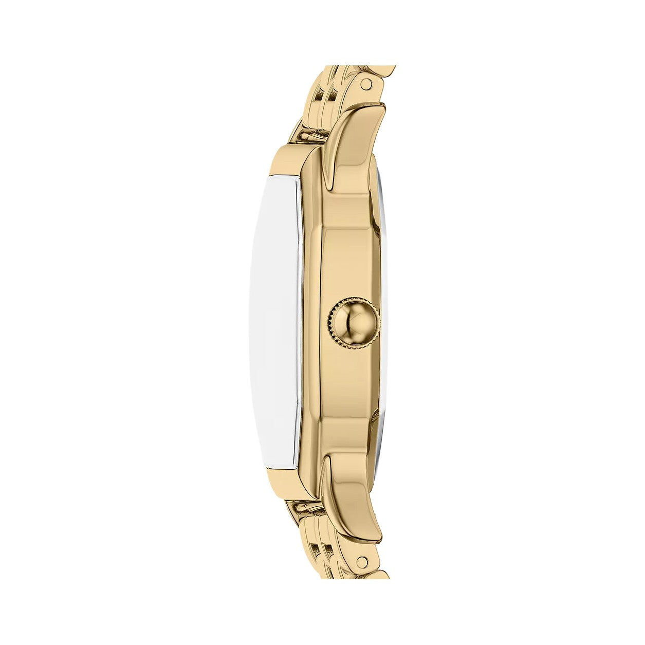 Fossil Harlow