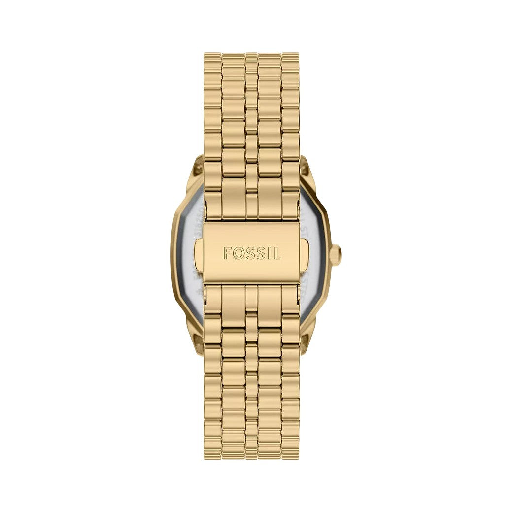 Fossil Harlow
