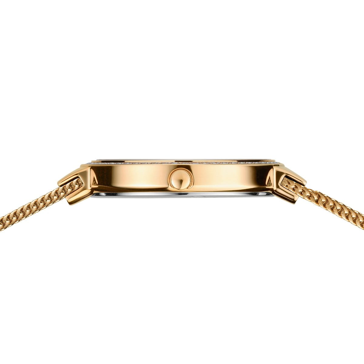 Bering - Classic