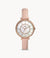 Fossil Jocelyn