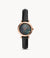 Fossil Carlie