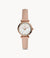 Fossil Carlie